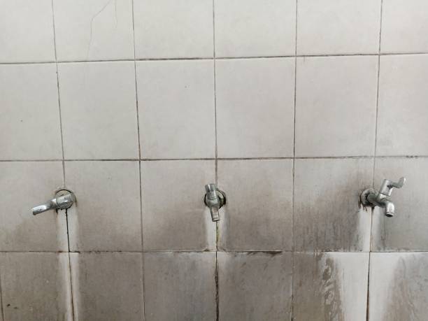 Best Mold removal after water damage  in Emerald Lakes, PA