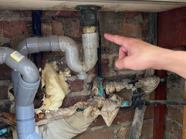 Best Mold removal after water damage  in Emerald Lakes, PA